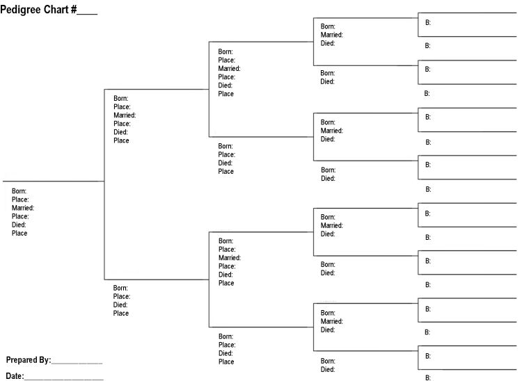 Pedigree Chart