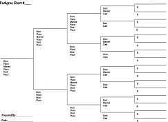 Family Pedigree Chart